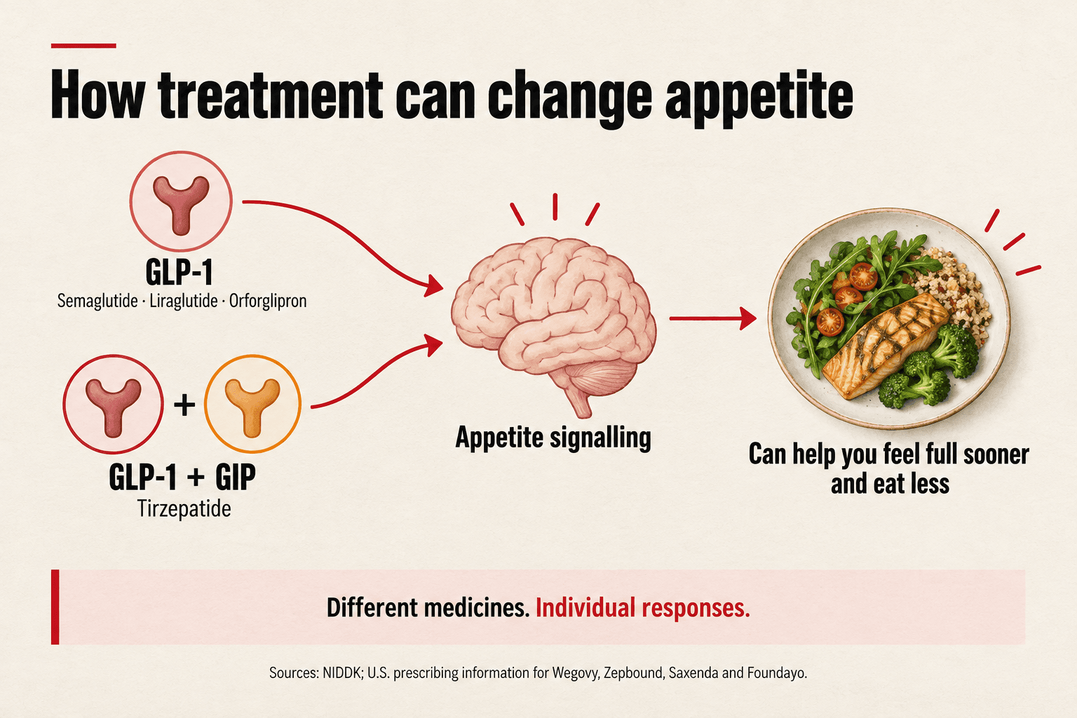 GLP-1 receptor signalling can affect appetite and food intake; tirzepatide also acts at a GIP receptor.